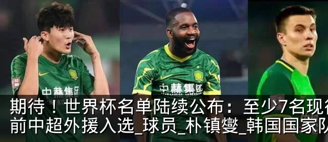 期待！世界杯名单陆续公布：至少7名现役或前中超外援入选_球员_朴镇燮_韩国国家队